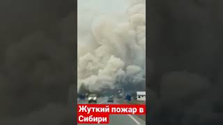 Адский пожар в Сибири. Россия горит