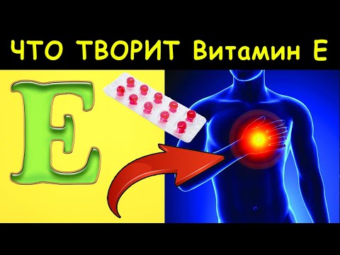 Витамин Е - токоферол - польза и вред, в каких продуктах содержится