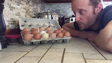 Comment conservait on les œufs autrefois ?