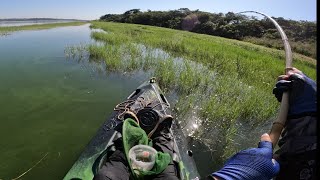 Não dava tempo da isca chegar no fundo, só traira gigante, pesca de traira com vara de bambu #pesca