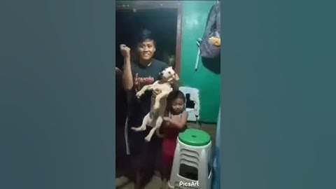 about portal and disintegration effect