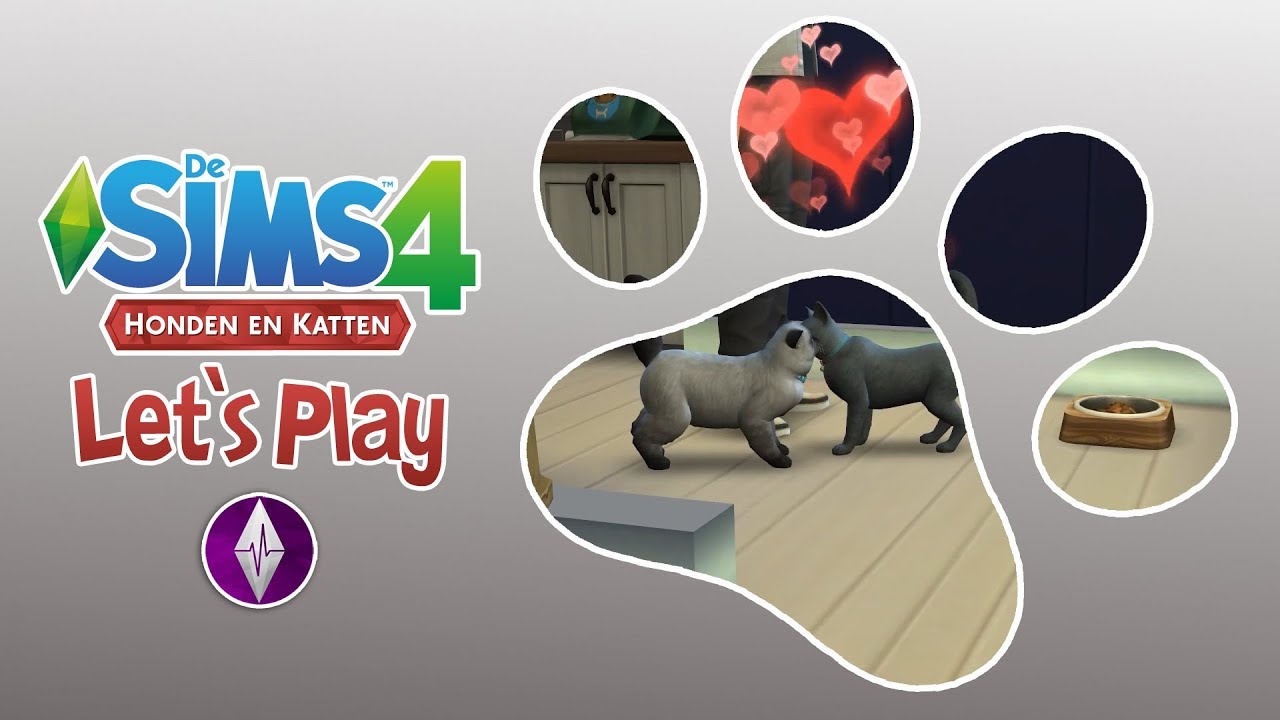 Kittens? 🐾 Let's Play De Sims 4 Honden en Katten - Deel 3 - YouTube