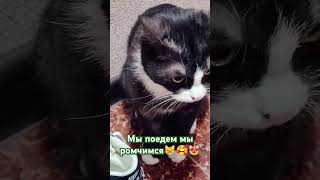#рекомендации #спецличности #афоня #фрагменты #юмор