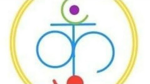 Yang - Mills Theory 01