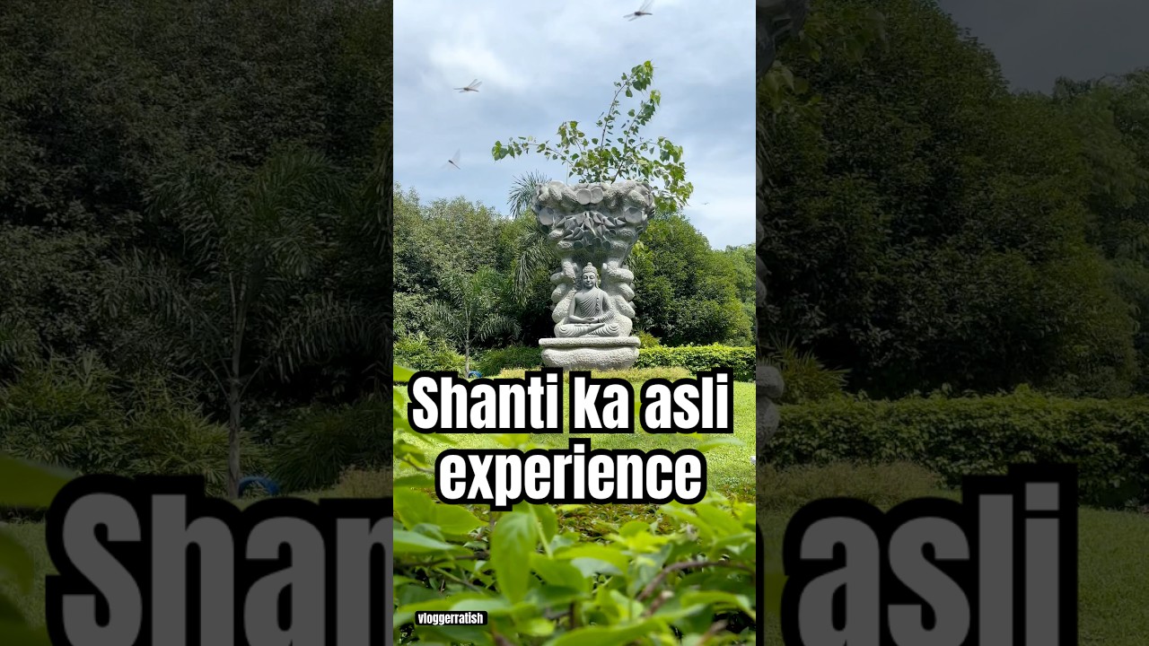 🌸 Sacred Lotus – Shanti Ka Original Spot ✨💖🕊️ 