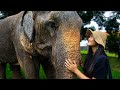 How are the ELEPHANTS in Thailand doing? (we surprised them!)