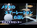 【メダカ飼育】メダカのエアーレーションについての話し