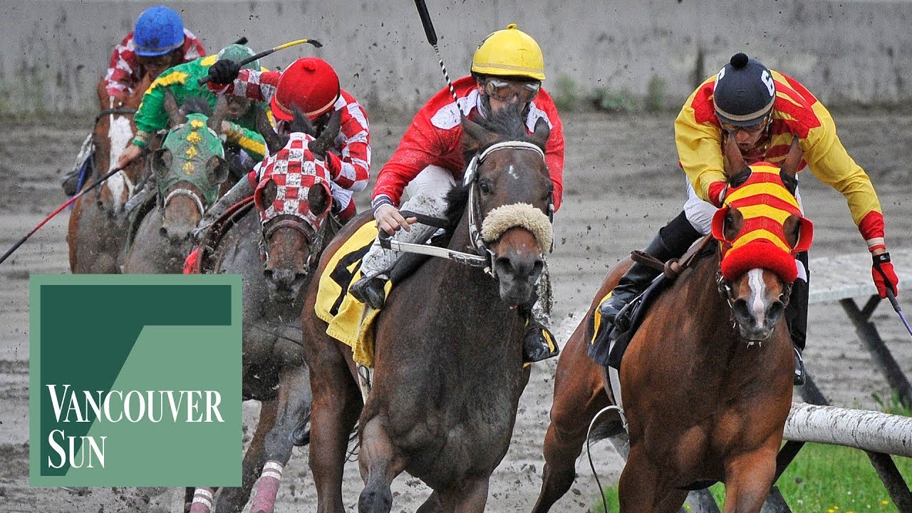 Hastings Racecourse Jobs Hastings Racecourse Jobs