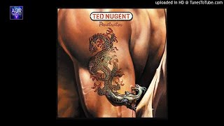 Ted Nugent - knockin at your door