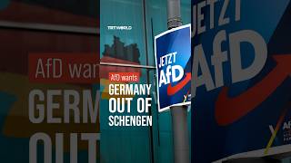 AfD calls for Germany to ditch euro and leave Schengen