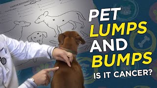 Is it Cancer? Pet Lumps & Bumps - VetVid Episode 023