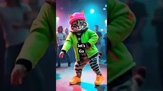 funny cat videos
