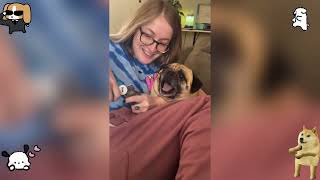 Hilarious Dog Moments#foryou #petsunited #pets #dog #funny