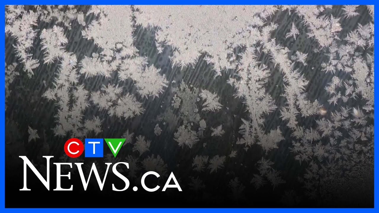 Snowstorm cuts power to parts of NDG, Côte Saint-Luc