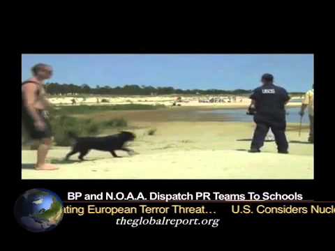 BP and NOAA Dispatch PR Teams To Schools