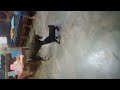 VLOG ANAK BROWN PART 3