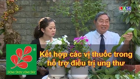 KẾT HỢP CÁC VỊ THUỐC TRONG HỖ TRỢ ĐIỀU TRỊ UNG THƯ - Lương Y Nguyễn Công Đức