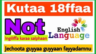 Kutaa 18jechoota Haasawa Nuuf Salphisan furtuu1