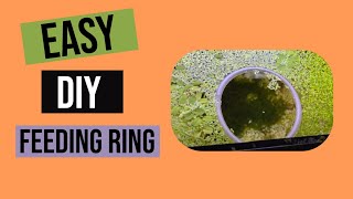 DIY Feeding Ring / Plant Seperator. (How to feed with floating plants!)