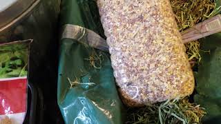 What I feed my chickens starters pellets and snacks