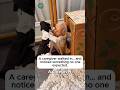 A Caregiver Entered the Room… What She Saw Raised Questions