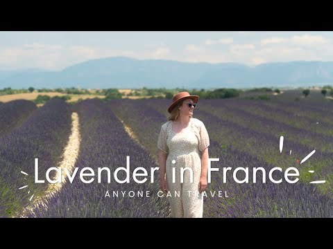 Where to see lavender fields in France | Provence France travel vlog 2023