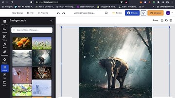 Canva Clone: Background image auto scale and auto position