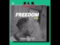  ☆Freedom (2026) ☆(BLK CHILLVIBES REMIX) ☆AKON #Tohedz PNG.mp3 