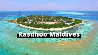 All you need to know about Rasdhoo Maldives | Local island Maldives | Maldives on a budget