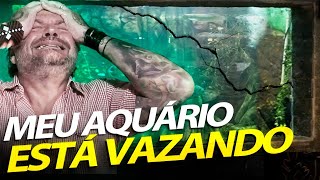 FUI AVISADO, MEU AQUÁRIO GIGANTE QUEBROU! | A CASA DOS BICHOS