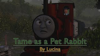 Tame as a Pet Rabbit