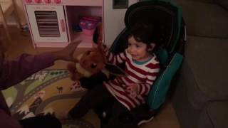 evenflo advanced chase