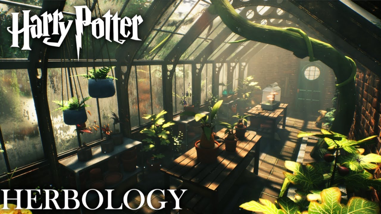 Relaxing Forest Ambience in The Herbology Greenhouse at Hogwarts! YouTube