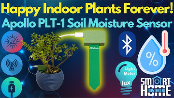 The ULTIMATE Indoor 🌱Plant Care Monitor🌱 PLT-1 Non Battery