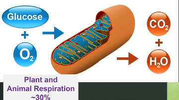 APES Unit 7 Section 4: Natural Sources of CO2 and Particulates