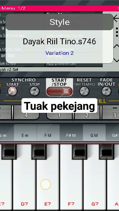 LAGU TUAK PEKEJANG II ORG24 #salamsatuhobi