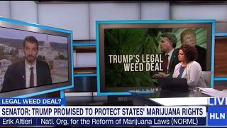 NORML's Erik Altieri Comments on Trump's Legal Marijuana Pledge on HLN