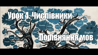 Урок 4. Числівники. Порівняння мов