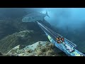 VLOG 3 - Pesca Submarina a POCA AGUA en Canarias 2020 / Gran MEDREGAL y PEJERREY