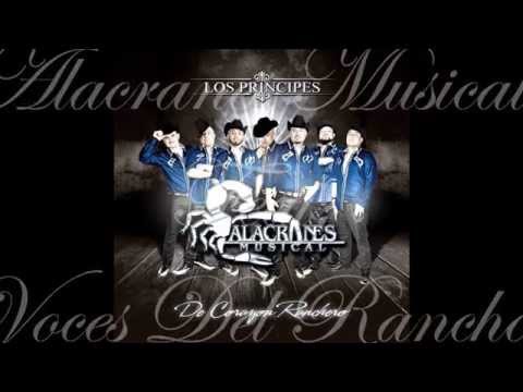 Putar Que Me Entierren Cantando - Alacranes Musical