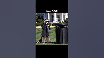 New D.O.T. #uspolitics #ai #deepfake #trump #sora #trashpanda