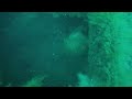 Goliath Grouper Takes my Big Cubera Snapper