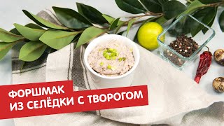 Форшмак из селёдки с творогом | Братья по сахару Форшмак из селёдки с творогом | Братья по сахару