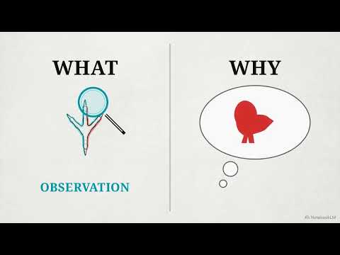 Observation vs Inference: Learn the Difference in Science Grade 6 and 7