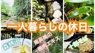 【一人暮らしの休日ルーティン】アラフィフ独身女の人生の楽しみかた♪｜十割蕎麦〜【高野山】の麓で南高梅摘み〜旬の梅で【梅肉エキス】を作る｜【シニアライフ】