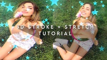 how to do a 3d stroke + stretch on videostar