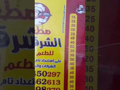 كبدة و مخ الشرقاوى المهندسين