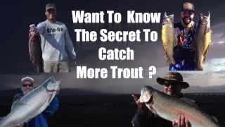 **NEW** Floating Trout Dough Bait DIY KIT screenshot 5