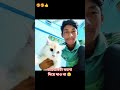 দারুন একটি ভিডিও #foryou #cat #like #viralvideo #pets