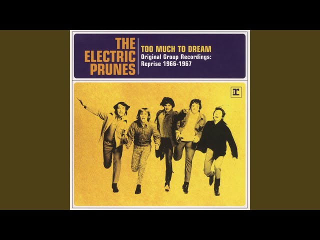 THE ELECTRIC PRUNES - Get Me To The World On Time